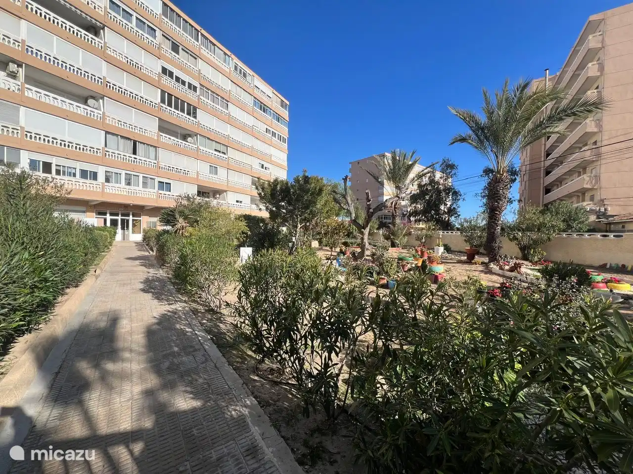 Moderne und geräumige Erdgeschosswohnung kaufen in Spanien, Costa Blanca, La Mata - appartement 