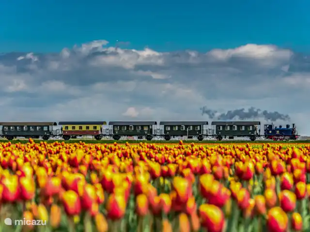Comprar una casa vacacional en Países Bajos, Holanda del Norte, Medemblik - Casa de vacaciones independiente Koggehuys