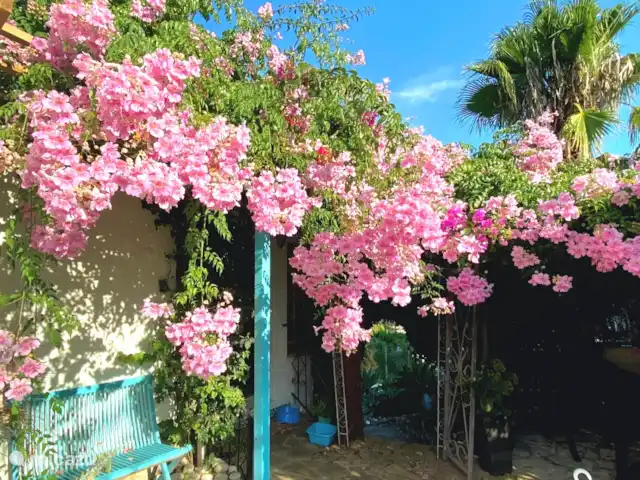 Acheter une villa | Espagne, Costa Blanca, Jávea - Villa vue mer à Javea