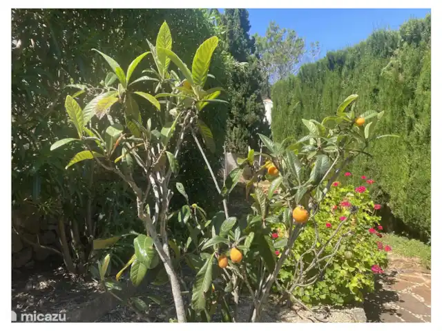 Acheter une villa | Espagne, Costa Blanca, Jávea - Villa vue mer à Javea