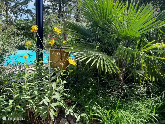 Acheter une maison de vacances | France, Hérault, La Tour-sur-Orb - « Les Dix Étoiles » dans La Tour sur Orb Vue de la maison d’hôtes vers la piscine.