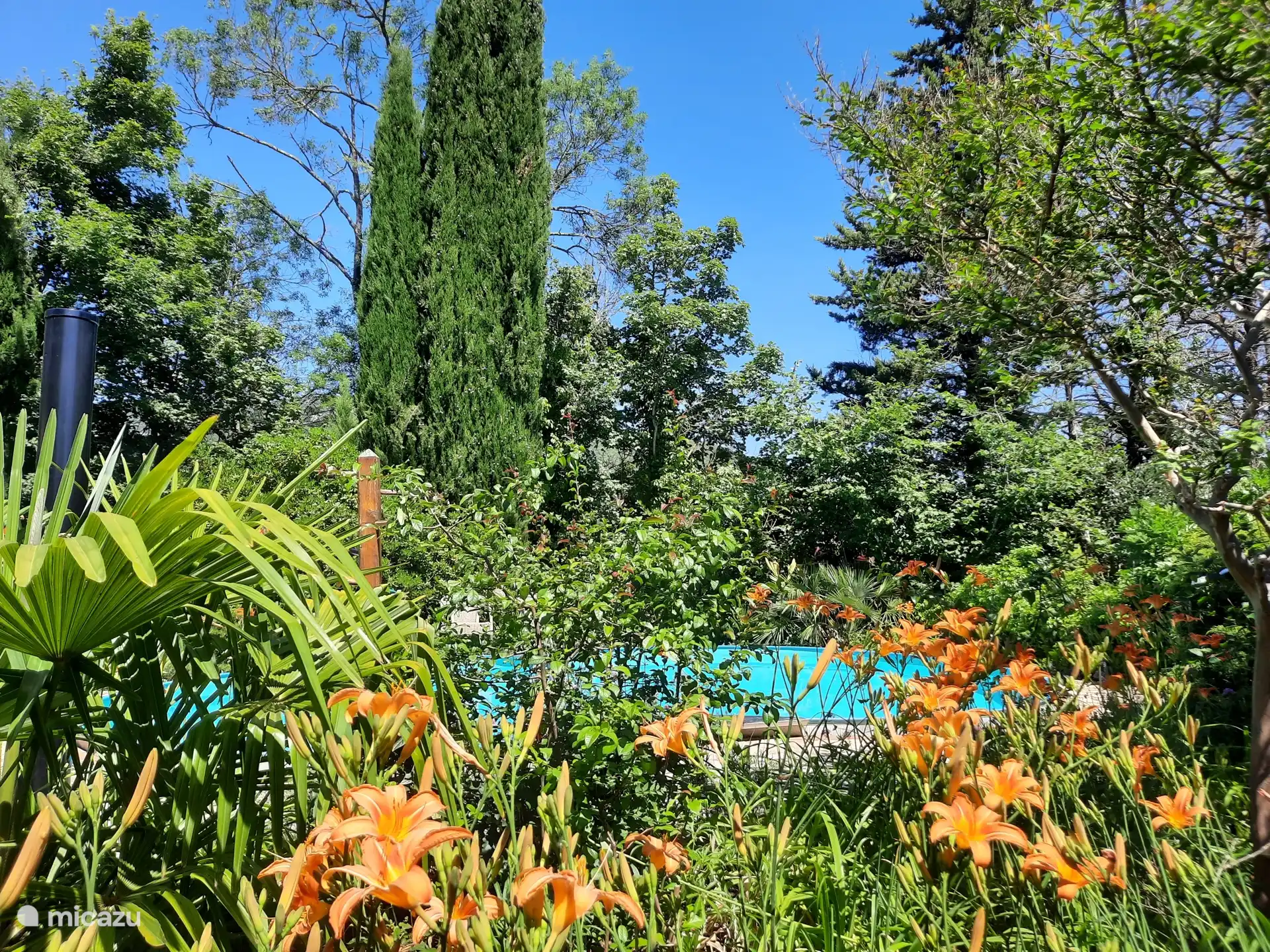 View from the guest house.