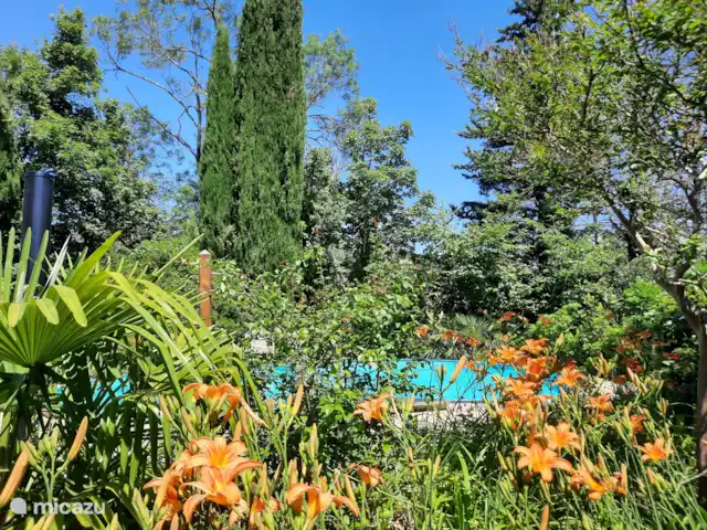 Acheter une maison de vacances | France, Hérault, La Tour-sur-Orb - « Les Dix Étoiles » dans La Tour sur Orb Vue depuis la maison d’hôtes.