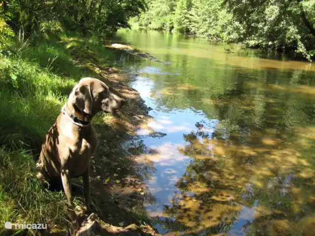 Acheter une maison de vacances | France, Hérault, La Tour-sur-Orb - « Les Dix Étoiles » dans La Tour sur Orb La rivière Orb coule devant la maison Lngs, en direction de Béziers et de la mer Méditerranée.