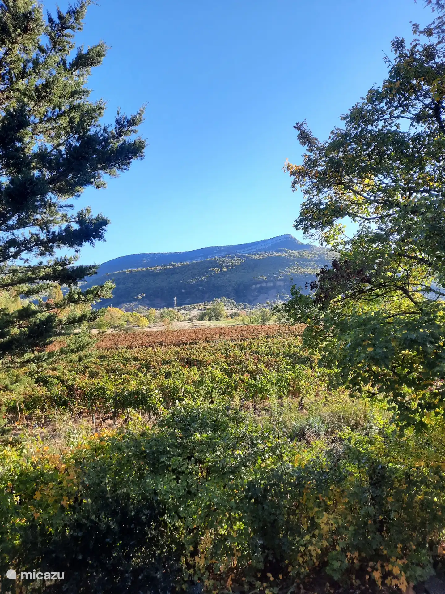 View from the garden.