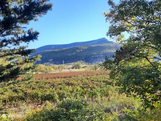 Acheter une maison de vacances | France, Hérault, La Tour-sur-Orb - « Les Dix Étoiles » dans La Tour sur Orb Vue depuis le jardin.