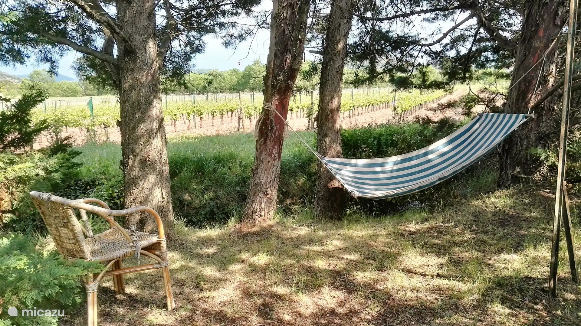 The back of the garden is a good place to be with a beautiful view.