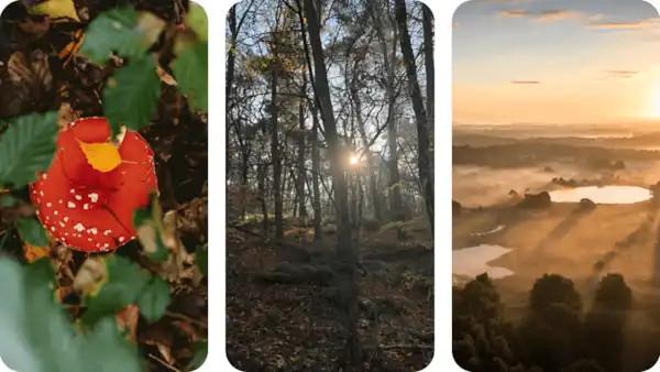 Dwingelderveld & Drentse Aa