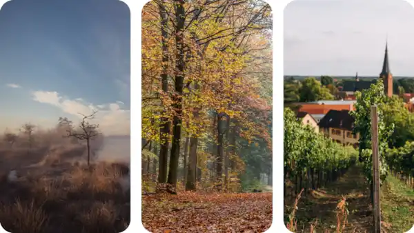 Drenthe, Zuid-Limburg & Utrechtse Heuvelrug