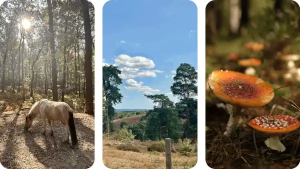Veluwe en Veluwezoom