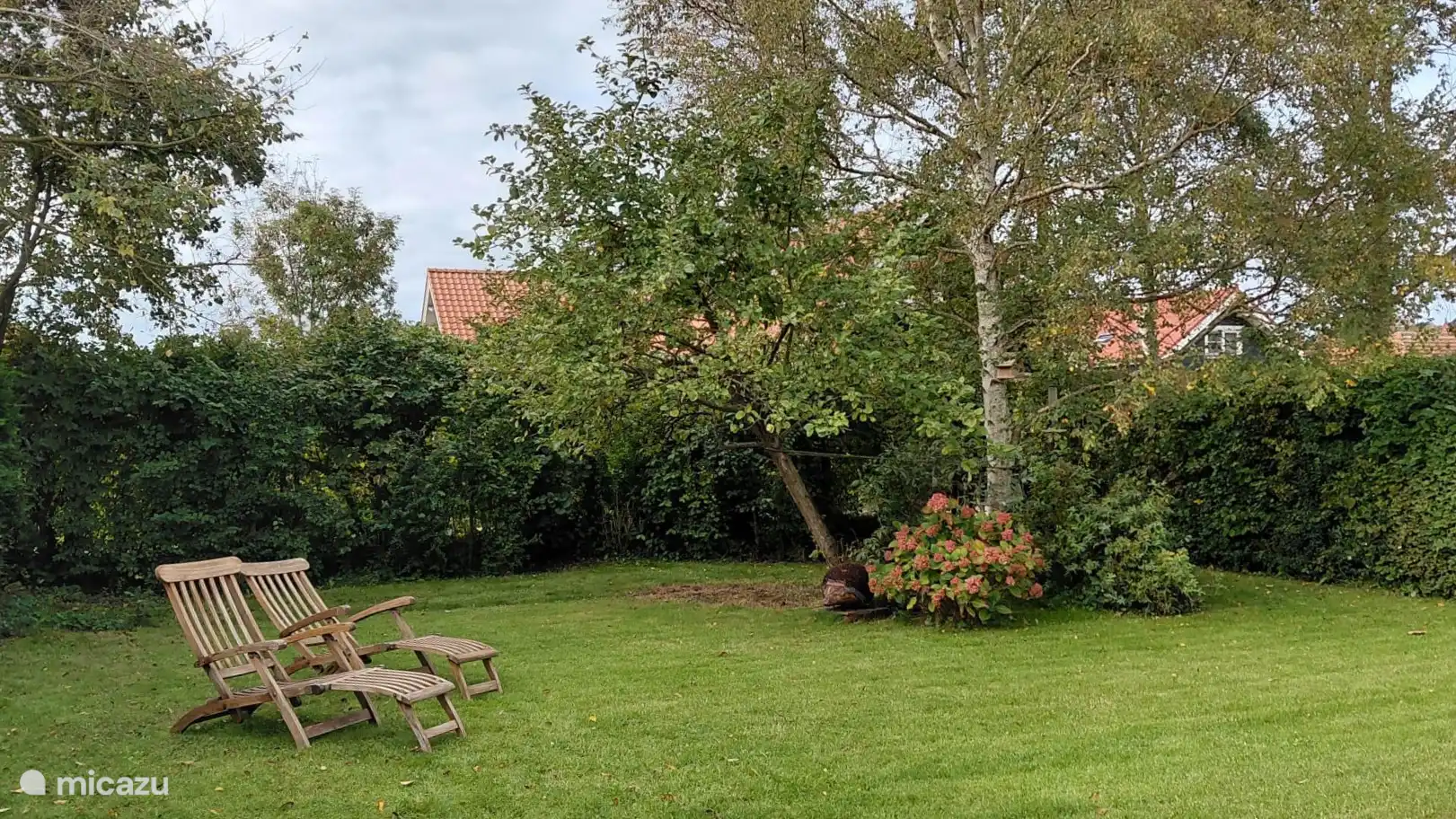 Garden behind 