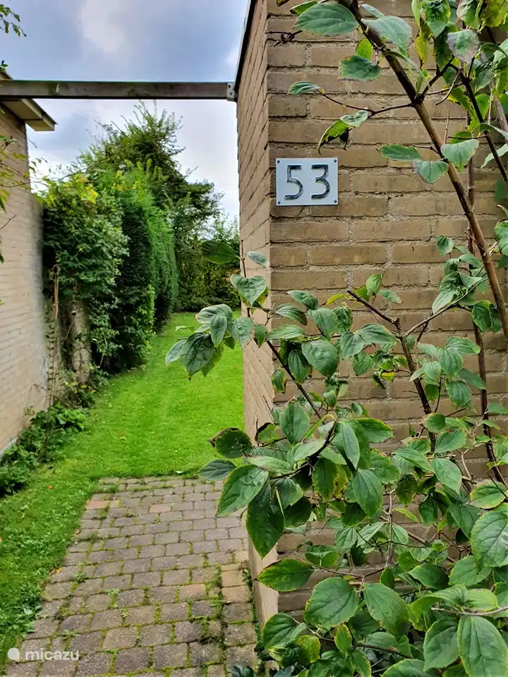 Passage from front to backyard