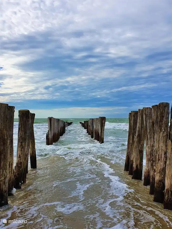 Breakwaters on the beach