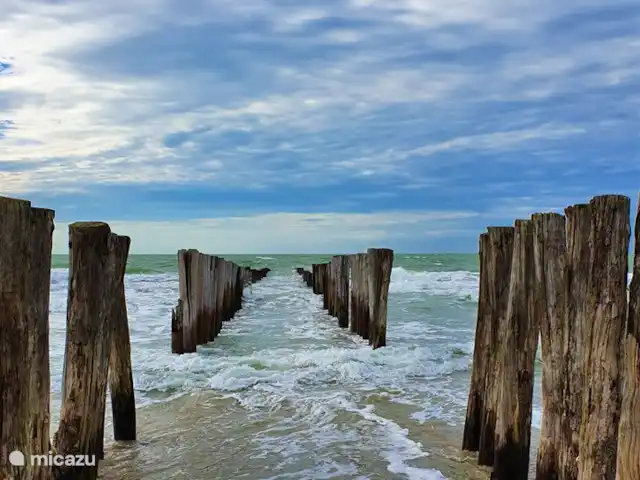 Location de Vacances Pays-Bas, Zélande, Burgh-Haamstede, maison de vacances - Westenschouwen La Sirène Brise-lames sur la plage