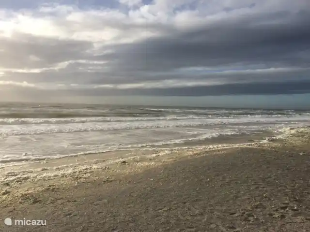 Location de Vacances Pays-Bas, Zélande, Burgh-Haamstede, maison de vacances - Westenschouwen La Sirène A la plage impression d'hiver