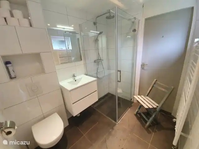 Location de Vacances Pays-Bas, Zélande, Burgh-Haamstede, maison de vacances - Westenschouwen La Sirène Salle de bains
