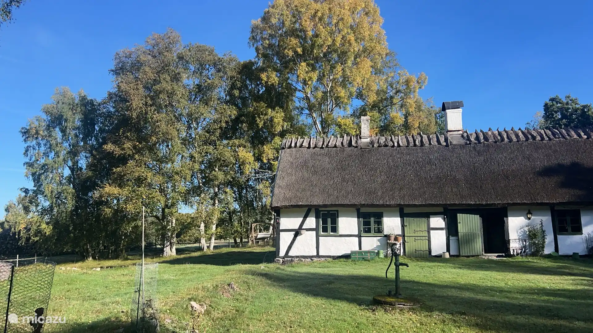 Herfst in het loofbos rondom de woning 