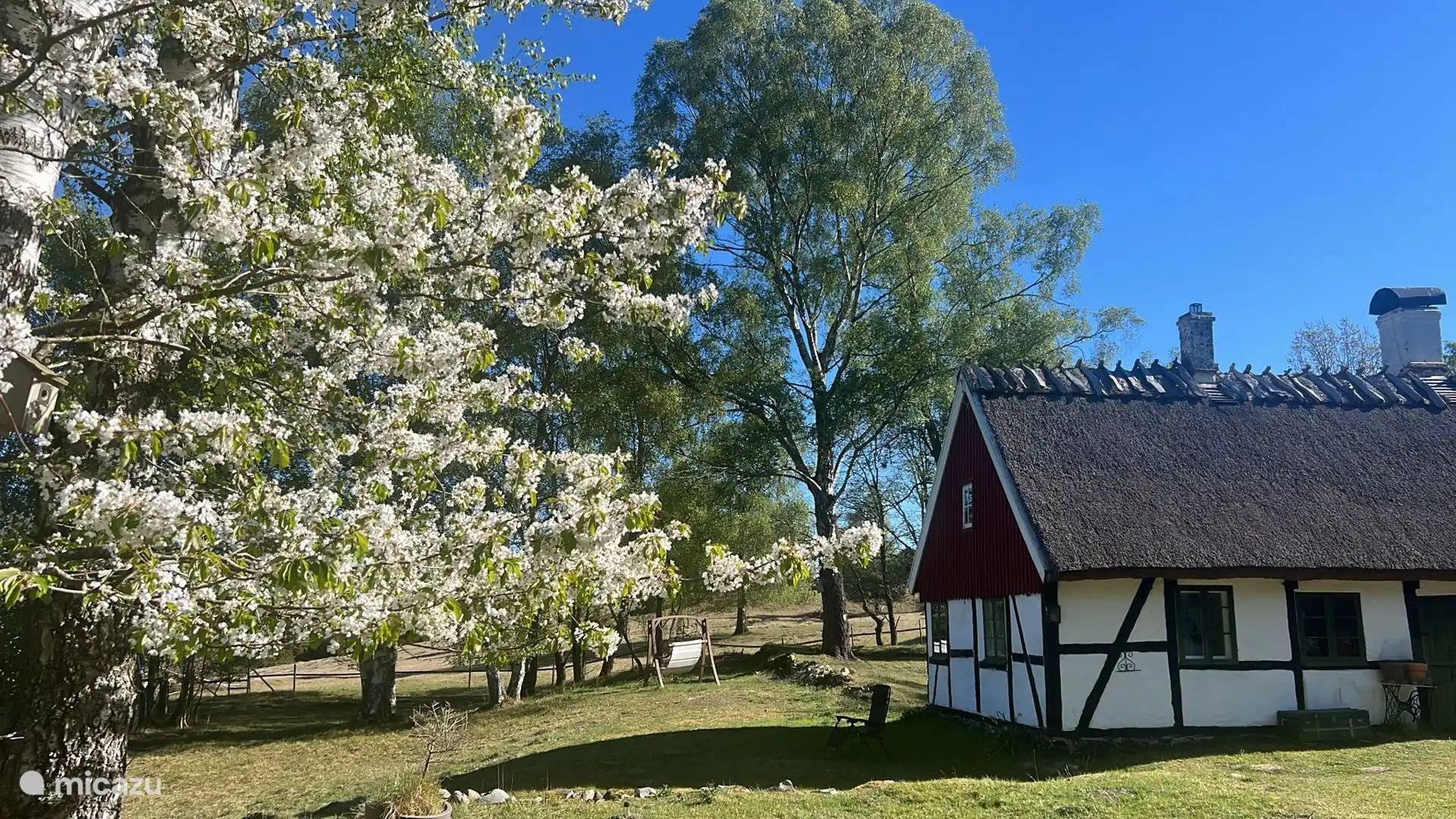 Keukenkant in de lente