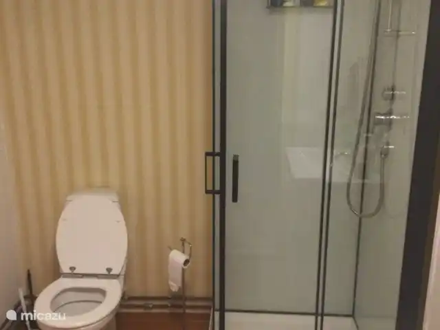 Colline des bouleaux | Suède, Värmland, Sunnemo - gîte / cottage Salle de bain simple avec douche (pluie), meuble vasque et toilettes. Pour ceux qui ont des exigences très élevées en matière de salle de bain, cette maison peut ne pas convenir.