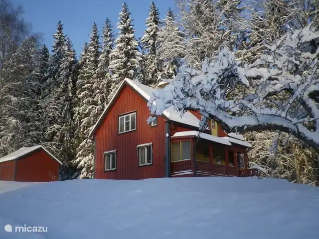 Colline des bouleaux | Suède, Värmland, Sunnemo - gîte / cottage Avec une épaisse couche de neige, c'est vraiment agréable. Faire de la luge dans l'allée ou dans le jardin et la vue depuis la véranda devient encore plus belle.