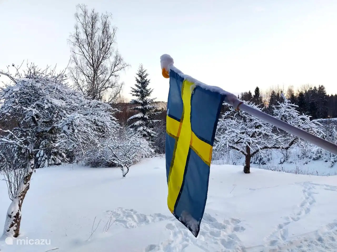 Blick von der Veranda