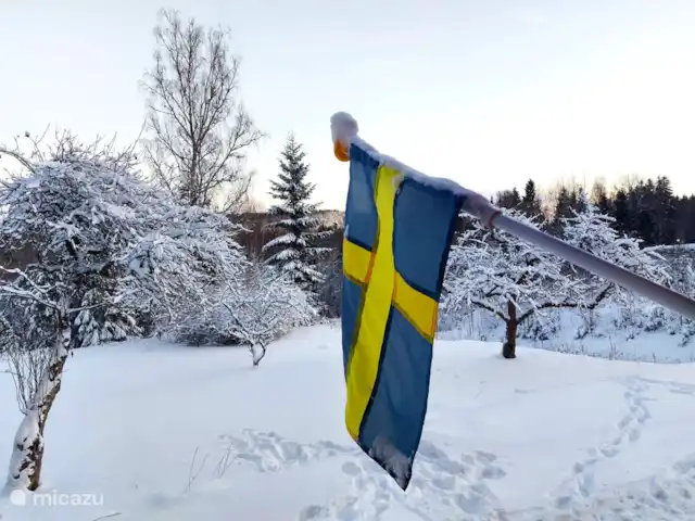 Colline des bouleaux | Suède, Värmland, Sunnemo - gîte / cottage Vue depuis la véranda