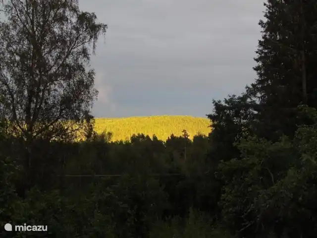 Colline des bouleaux | Suède, Värmland, Sunnemo - gîte / cottage Un autre spectacle depuis le porche. Le soleil du soir joue souvent avec les arbres : leur couleur est imprévisible et toujours différente.