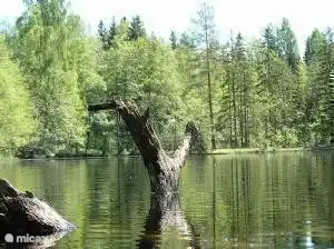 Das Kanu Bereich / unter dem Haus hat geheimnisvollen Ecken und andere Richtung durch stechende beiden Seen und den Fluss, der die beiden verbindet. Biber leben in verschiedenen Orten. Unter der Brücke (400 m) sind für die Fischerei beliebt.