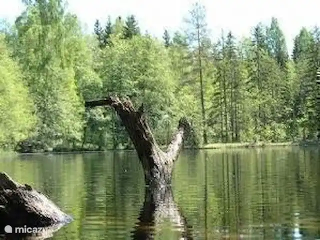 Colline des bouleaux | Suède, Värmland, Sunnemo - gîte / cottage La zone de canoë devant / sous la maison a des coins mystérieux et plusieurs raccourcis vers les deux lacs et la rivière qui les relie. Les castors vivent à différents endroits. Il y a beaucoup de pêche sous le pont (400 mètres).
