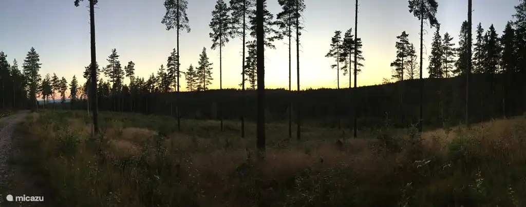 Wir suchen Alg hinter dem Haus