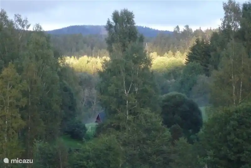 Eine andere Szene von der Veranda. Die Abendsonne spielt oft mit den Bäumen: ihre Farbe unberechenbar und immer anders.