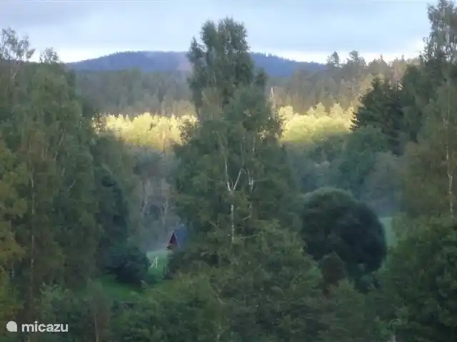 Colline des bouleaux | Suède, Värmland, Sunnemo - gîte / cottage Soleil du soir lors d'une promenade dans la région. Dans le manuel de la maison, il y a un certain nombre de promenades à proximité et plus loin.
