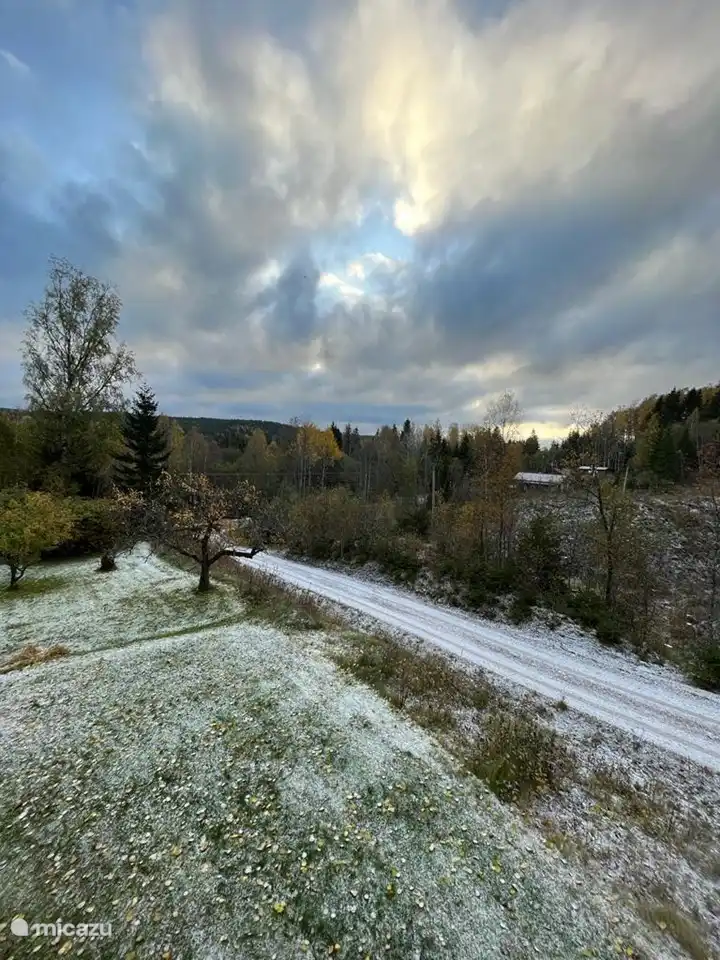 erster Frost im Herbst