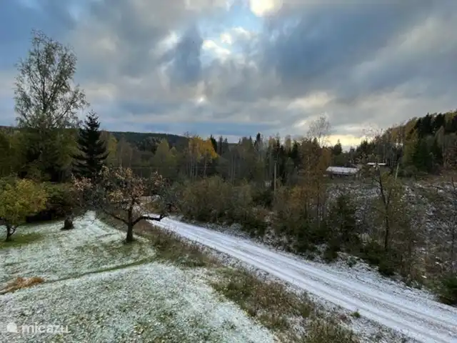 Colline des bouleaux | Suède, Värmland, Sunnemo - gîte / cottage premières gelées en automne
