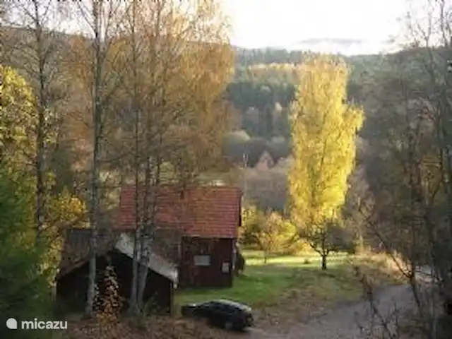 Colline des bouleaux | Suède, Värmland, Sunnemo - gîte / cottage Il ressort clairement de cette photo pourquoi la maison a été baptisée De Berkenheuvel en 1929. À l'automne, le plus gros bouleau de la cour avant est entièrement décoré en jaune.