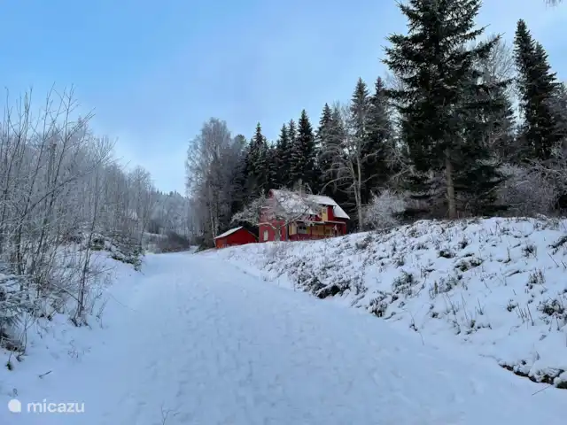 Colline des bouleaux | Suède, Värmland, Sunnemo - gîte / cottage Allée en hiver