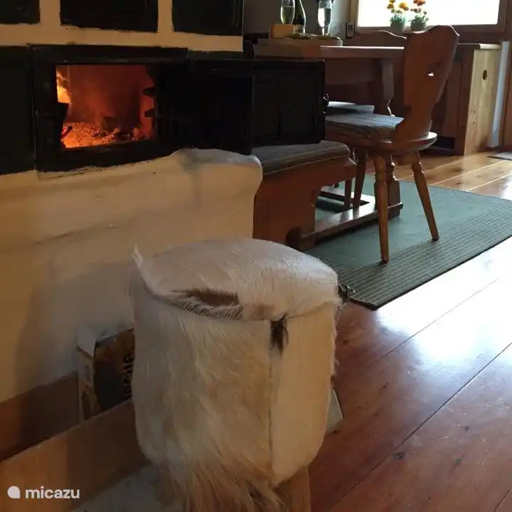 Schöne warme, authentische Ofen! Die Wohnung ist mit speziellen Heizung komplett beheizt. Dieser Ofen hat eine extra Heizung und vor allem für Geselligkeit.