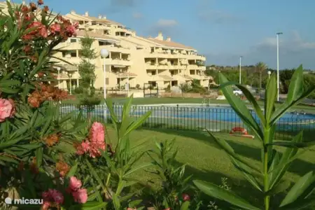 Vakantiehuis Spanje, Costa Blanca, Orihuela appartement Appartement Albatros Campoamor Vakantiehuis Spanje, Costa Blanca, Orihuela appartement Appartement Albatros Campoamor