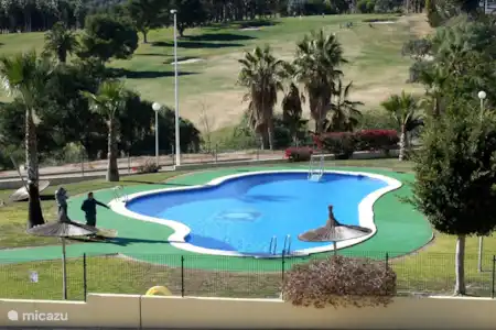 Vakantiehuis Spanje, Costa Blanca, Orihuela appartement Appartement Albatros Campoamor Zwembad