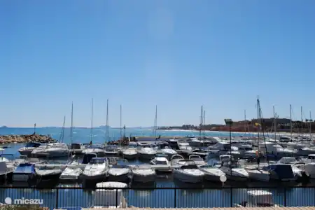 Vakantiehuis Spanje, Costa Blanca, Orihuela appartement Appartement Albatros Campoamor Haven