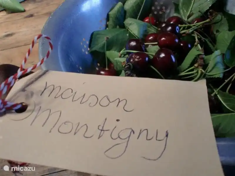Das Essen ist lecker Kirschen in Maison Montigny.