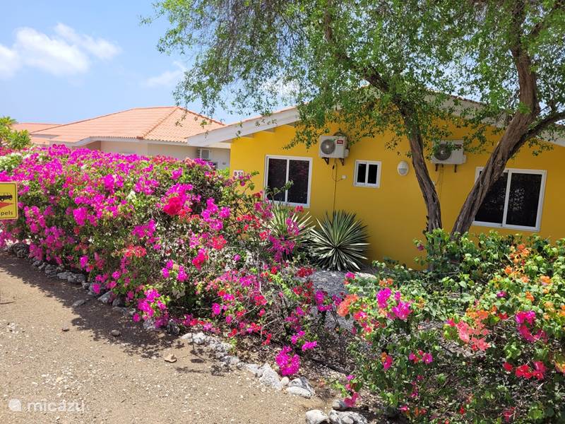 Vakantiehuis Curaçao, Banda Abou (west), Fontein Vakantiehuis Villa Karawara