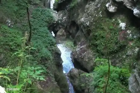 Les Grottes de Pradis