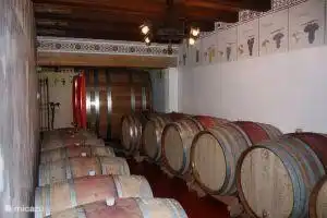 Hay muchos viñedos y bodegas en la zona donde se puede degustar vino.