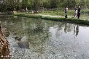 El aficionado a la pesca puede pescar sus propias truchas. Ahí compras tu propia cantidad pescada para la parrillada en casa.