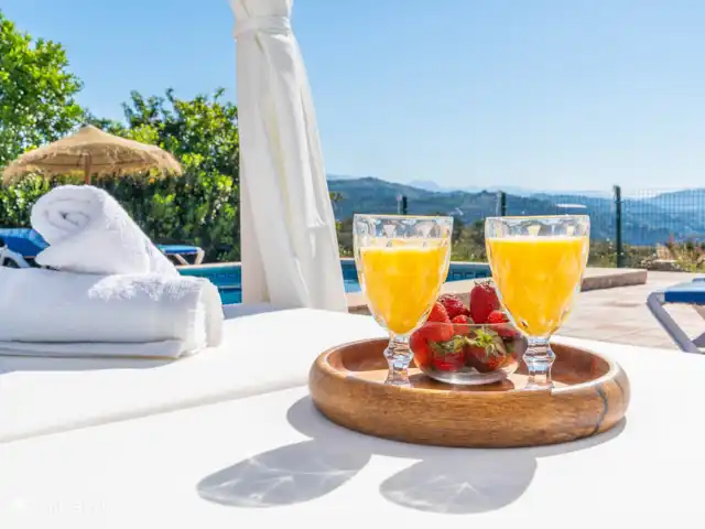 Villa El Botin | Espagne, Costa del Sol, Comares - villa Dégustation de jus de fruits dans le grand hamac.