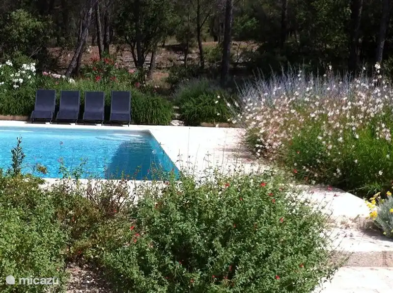 Un jardín bellamente ajardinado, donde algo está floreciendo en cualquier época del año. 