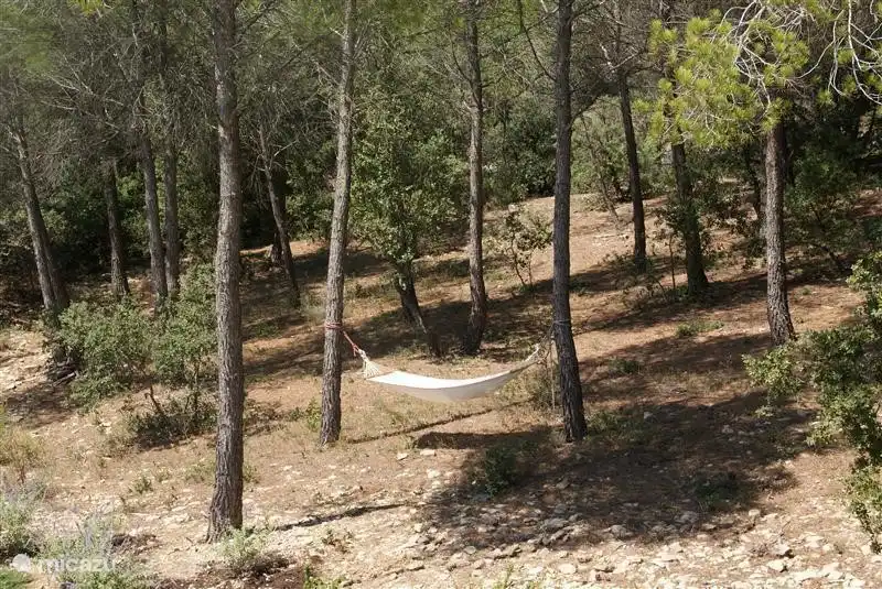 En el bosque, cerca de la terraza de la piscina, puede colgar una hamaca.
