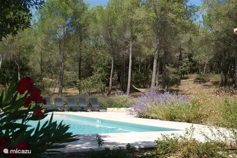 Esta foto da una buena idea de una parte del jardín.