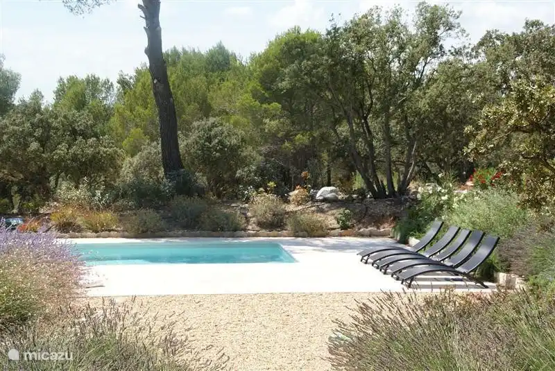 La piscina es muy agradable, con mucha privacidad, en parte gracias al jardín cuidadosamente diseñado. 
